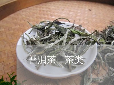 普洱茶 茶类/2023042882276